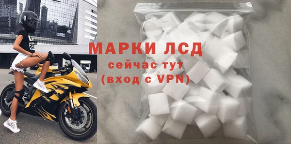 эйфоретик Алзамай