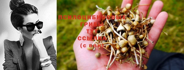 эйфоретик Алзамай