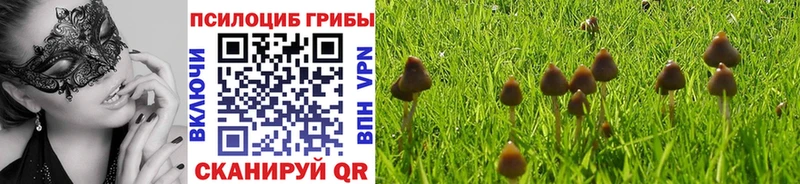 MEGA маркетплейс  Берёзовка  Псилоцибиновые грибы мухоморы 